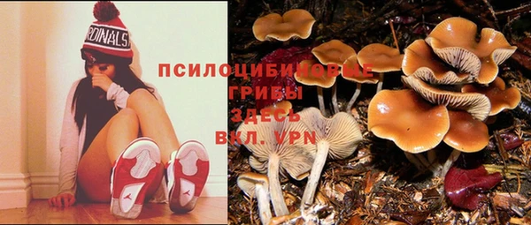 MDMA Premium VHQ Волоколамск
