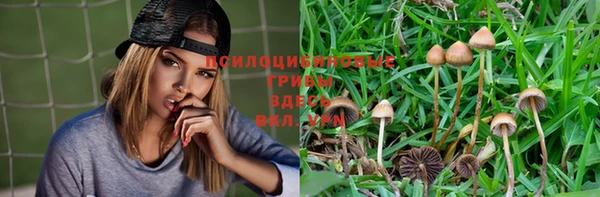 эйфоретик Володарск