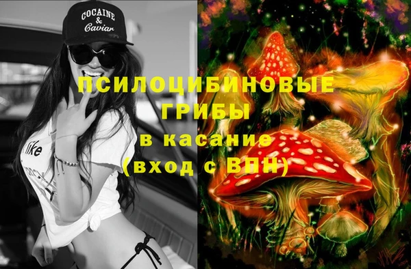 бошки Волосово